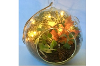 Plant Nite: Fall Fairy Light Succulent Terrarium